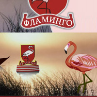 Интернет-магазин «Фламинго»