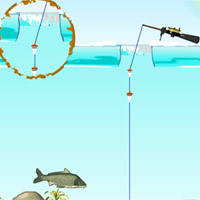 Анимации «Все о рыбалке»